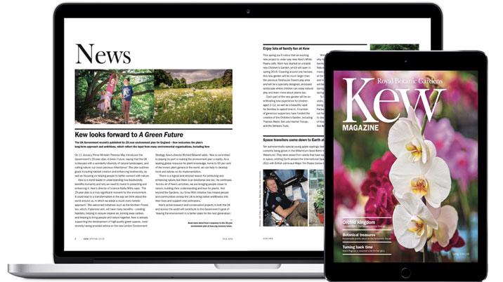 Kew Launches Complete Digital Archive