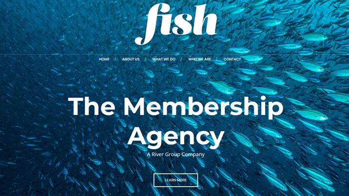 Fish Content Agency launches