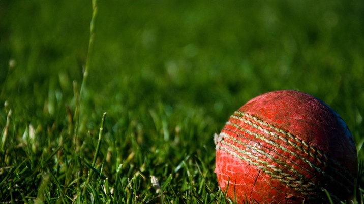 The Telegraph announces Ashes coverage line-up