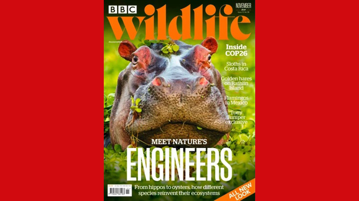 New look for BBC Wildlife