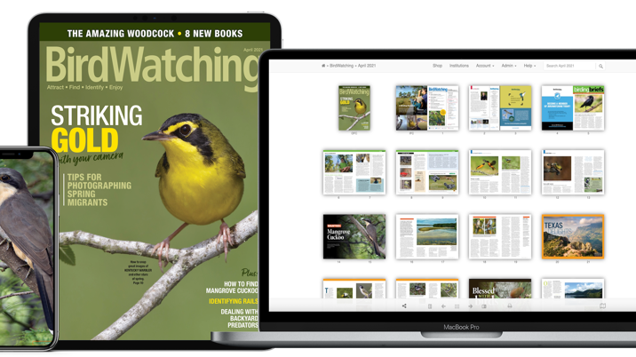 North American Magazine BirdWatching Launches Digital Subscriptions