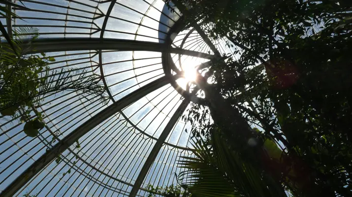 Kew magazine chooses Cabbells