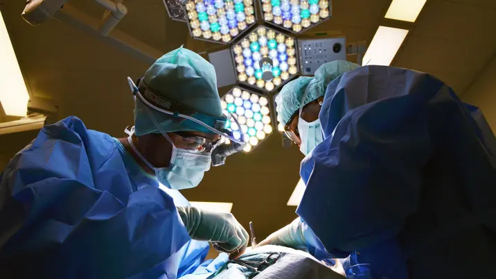 BMJ Group unveils 2025 impact report