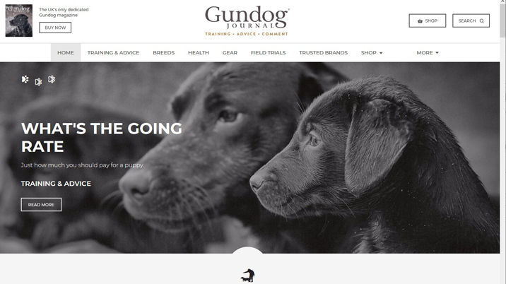 ESco launches new website for Gundog Journal