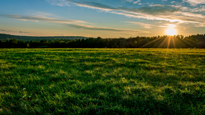 ESco facilitates Gift Aid for charity