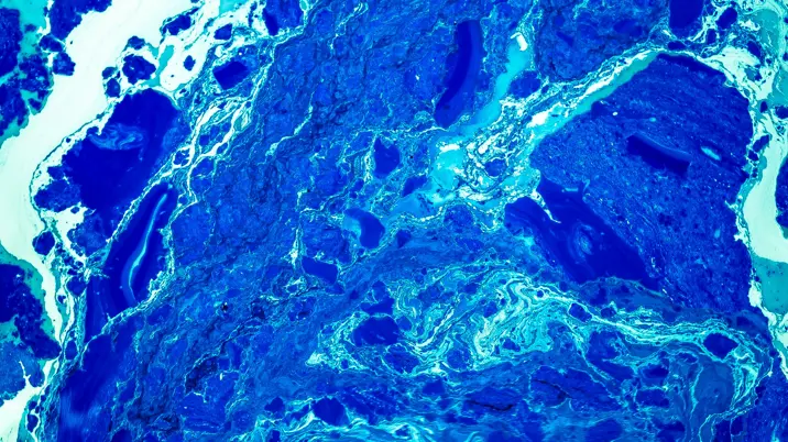 Springer Nature releases first half results