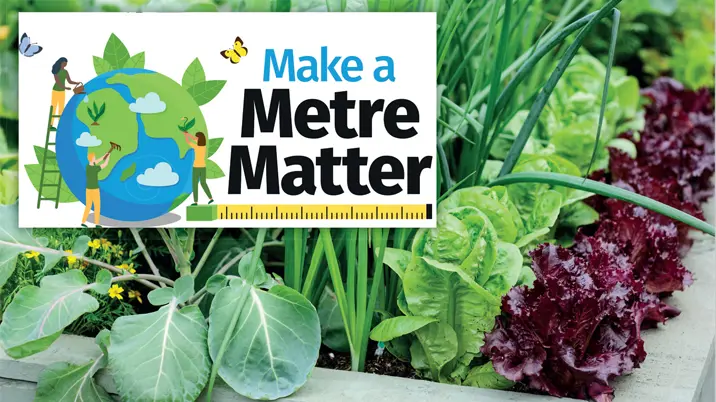 Using content to save the world