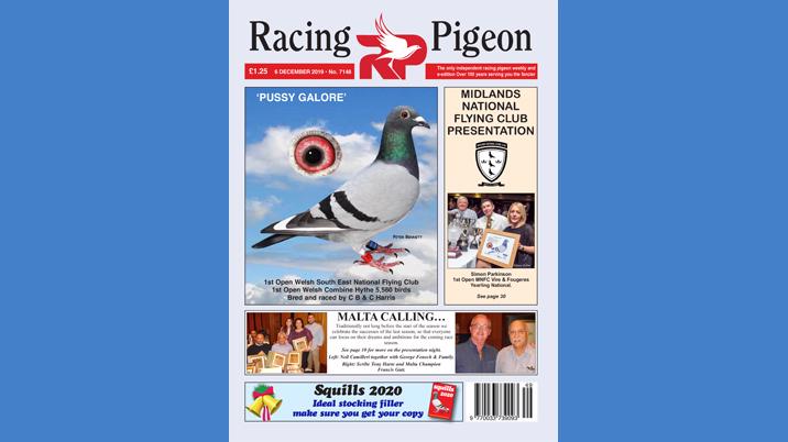 Racing Pigeon chooses Intermedia