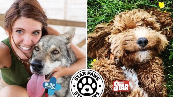 Daily Star launches Star Paws Takeover