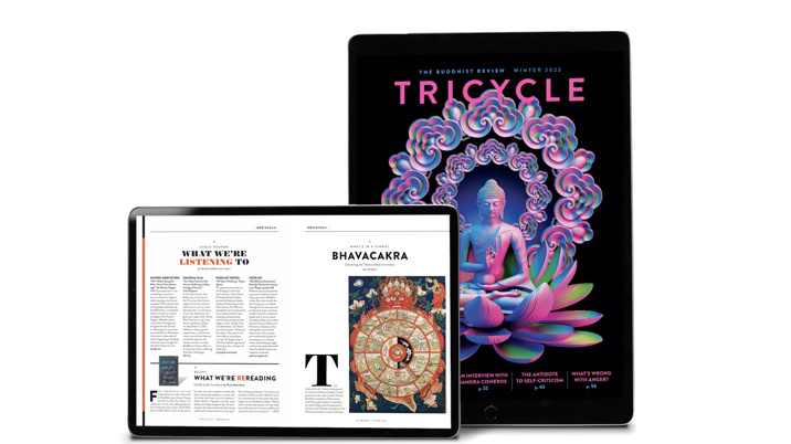 Tricycle: The Buddhist Review now available for libraries