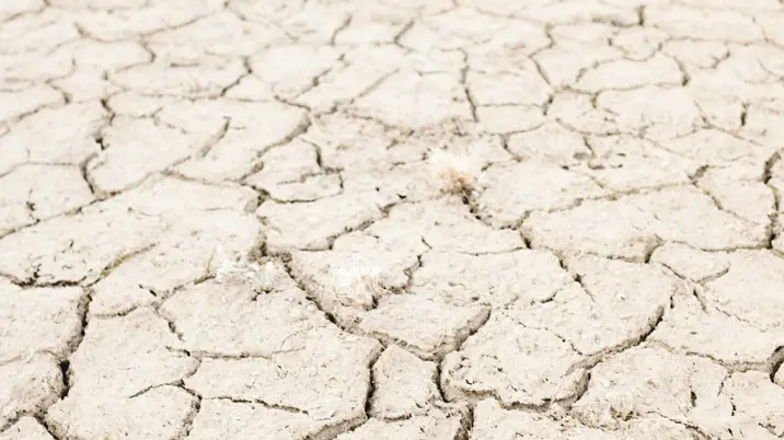 Impress releases research