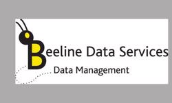 KPM Media appoints Beeline Data Services