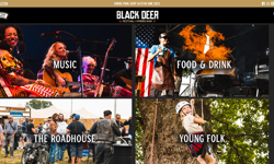 The Independent partners with Black Deer Festival