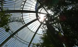 Kew magazine chooses Cabbells