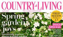 Country Living UK unveils brand refresh for its fifth decade