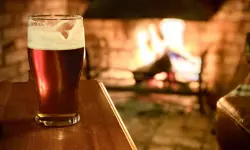 The Telegraph launches guide