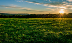 ESco facilitates Gift Aid for charity