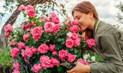 Putting your purpose at the heart of your decision making