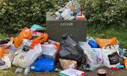 In Your Area launches litter fines widget