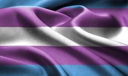 IPSO publishes research on transgender coverage