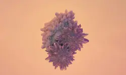 Nature announces two new journals