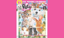 Signature creates Pets2Collect Toy Advent Calendar