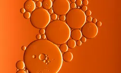 Springer Nature releases trading update