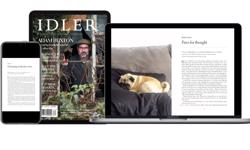 The Idler launches individual and institutional digital subscriptions