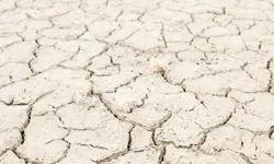 Impress releases research